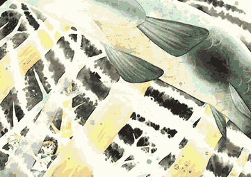 $B$^$=$i$+$J$?$5$s(J